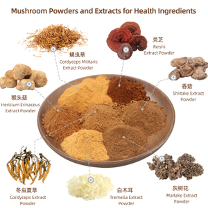  Agaricus Blazei Mushroom Shiitake Mushroom Tremella Mezclas de extractos de hongos